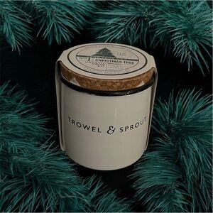Urban Agriculture Co. Grow Your Own Christmas Tree Kit